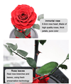 Exquisite Forever Rose Flower. (Thinking of YOU) - CMAS PRODUCTS - Exquisite style living
