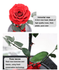 Exquisite Forever Rose Flower. (Thinking of YOU) - CMAS PRODUCTS - Exquisite style living