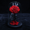Exquisite Forever Rose Flower. (Thinking of YOU) - CMAS PRODUCTS - Exquisite style living
